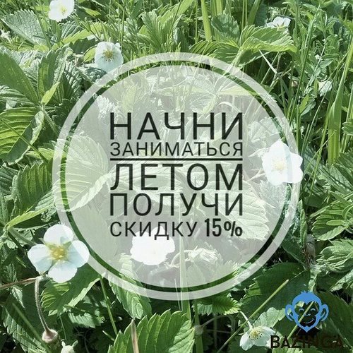 Bazinga центр изучения