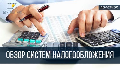 БухгалТерра компания