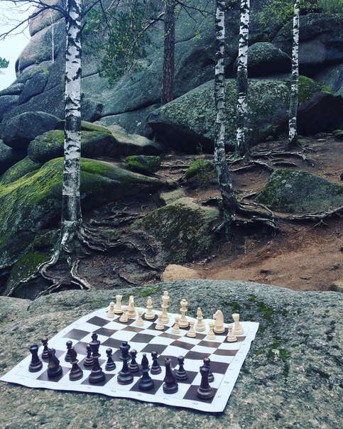 ChessStar, интеллектуальная школа шахмат, робототехники и логики