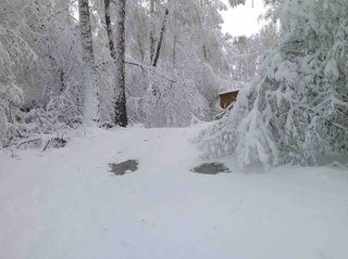 Картинка Colourado Красноярск