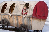 ЦВЕТ Красноярск