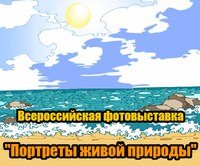 ДРУЗЯТА детский центр