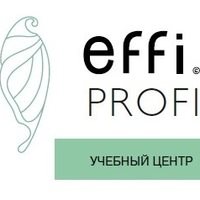 Логотип компании effi.PROFI, торгово-учебный центр