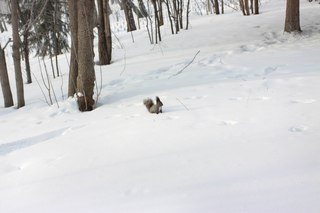 Эрудит Красноярск
