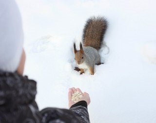 Изображение Эрудит детский