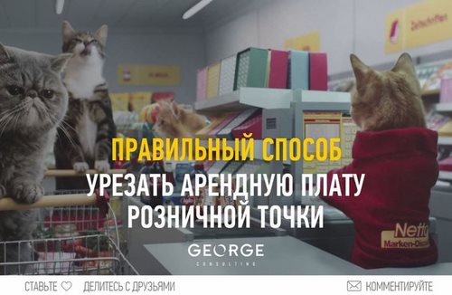 GEORGE Consulting консалтинговое