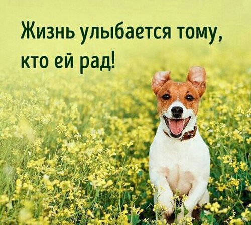 Импульс студия