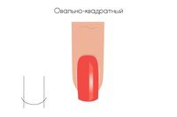 Купол учебный центр