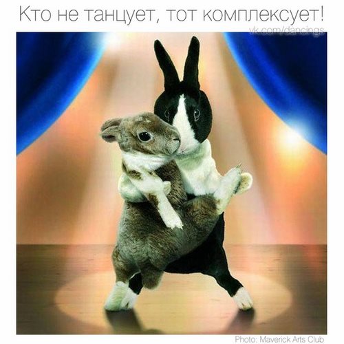 Новость Мир танца и йоги Красноярск
