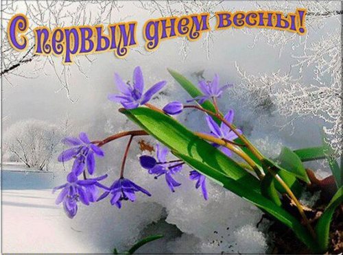 Новость Nail Couture школа-студия