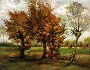 Наитие Красноярск