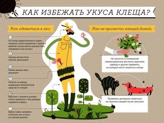 Изображение ПЕКО ООО