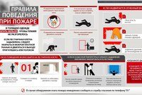 ПЕКО ООО аудиторская