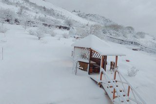 Новость ПЕКО ООО аудиторская