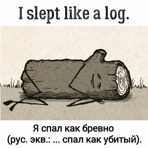 Картинка Пронто центр иностранных