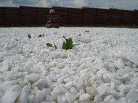 Традиция, детская восточная школа