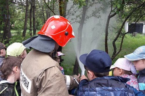 Фото ВДПО Всероссийское добровольное