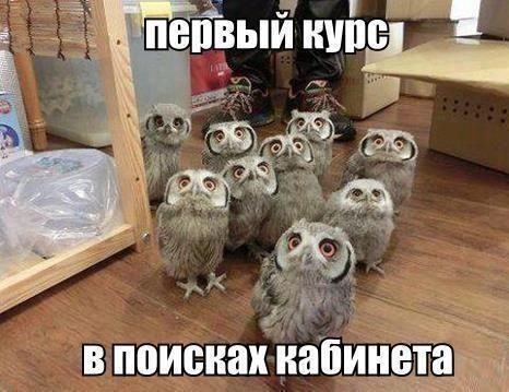 Зачет центр помощи